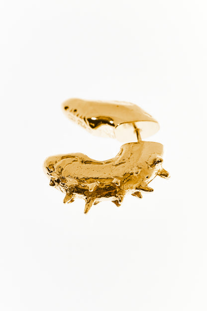 Hippocampus Ohrring