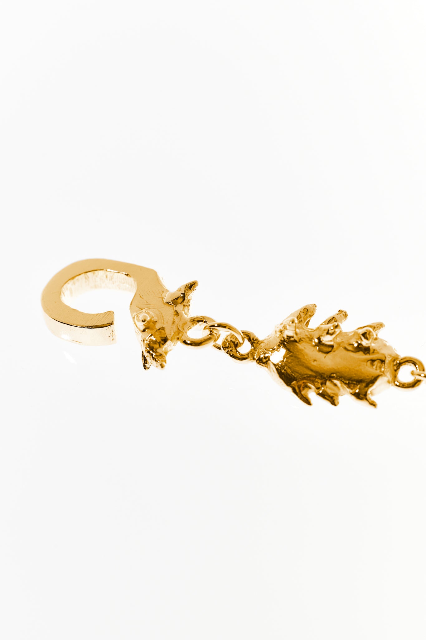 Anomura bracelet