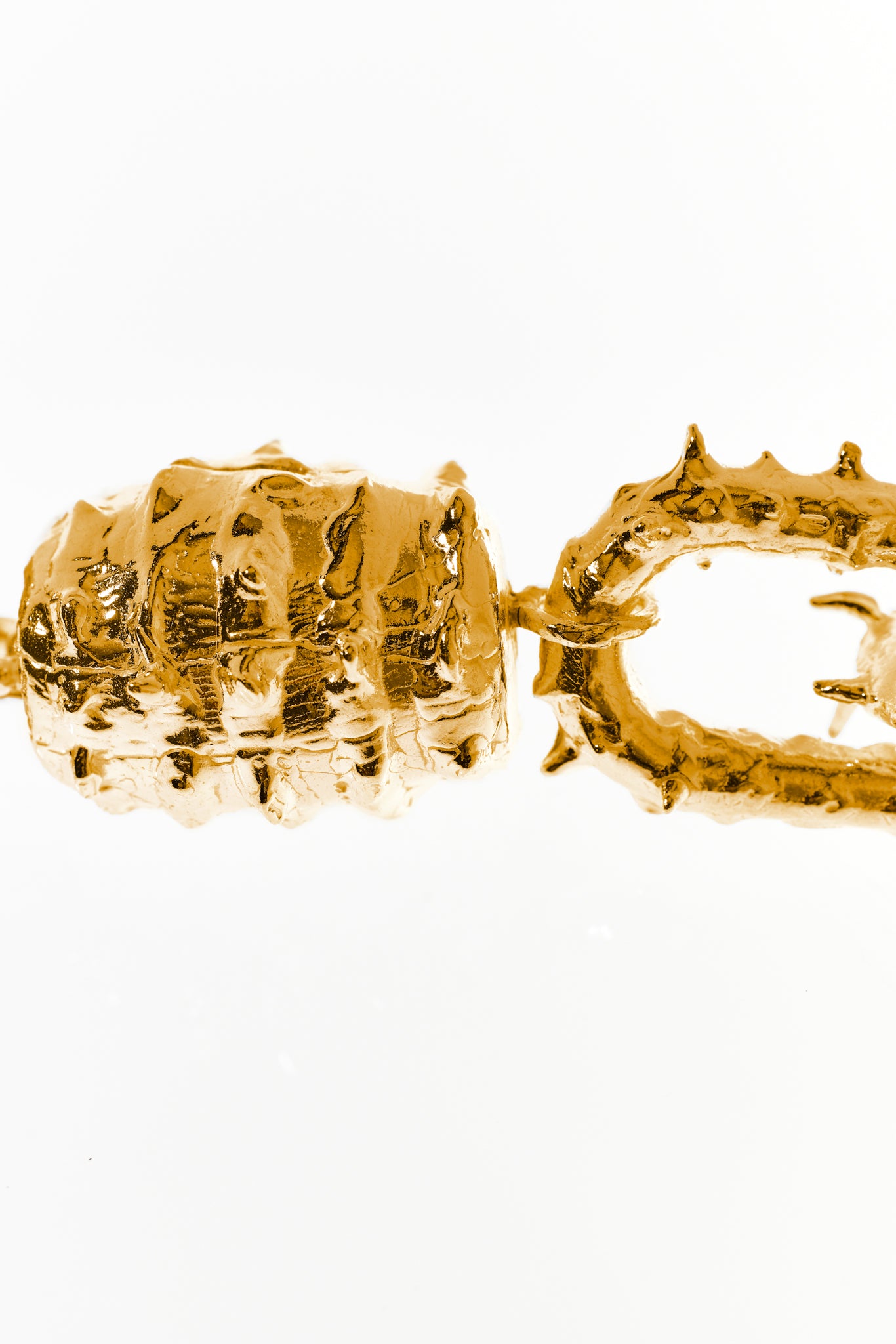 Hippocampus Kette