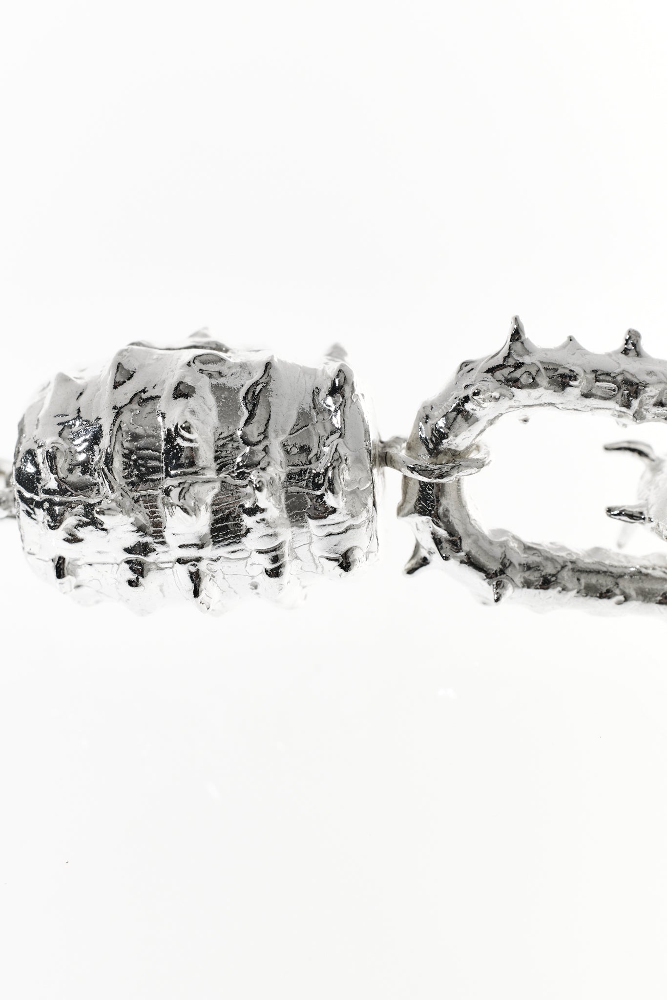 Hippocampus Kette