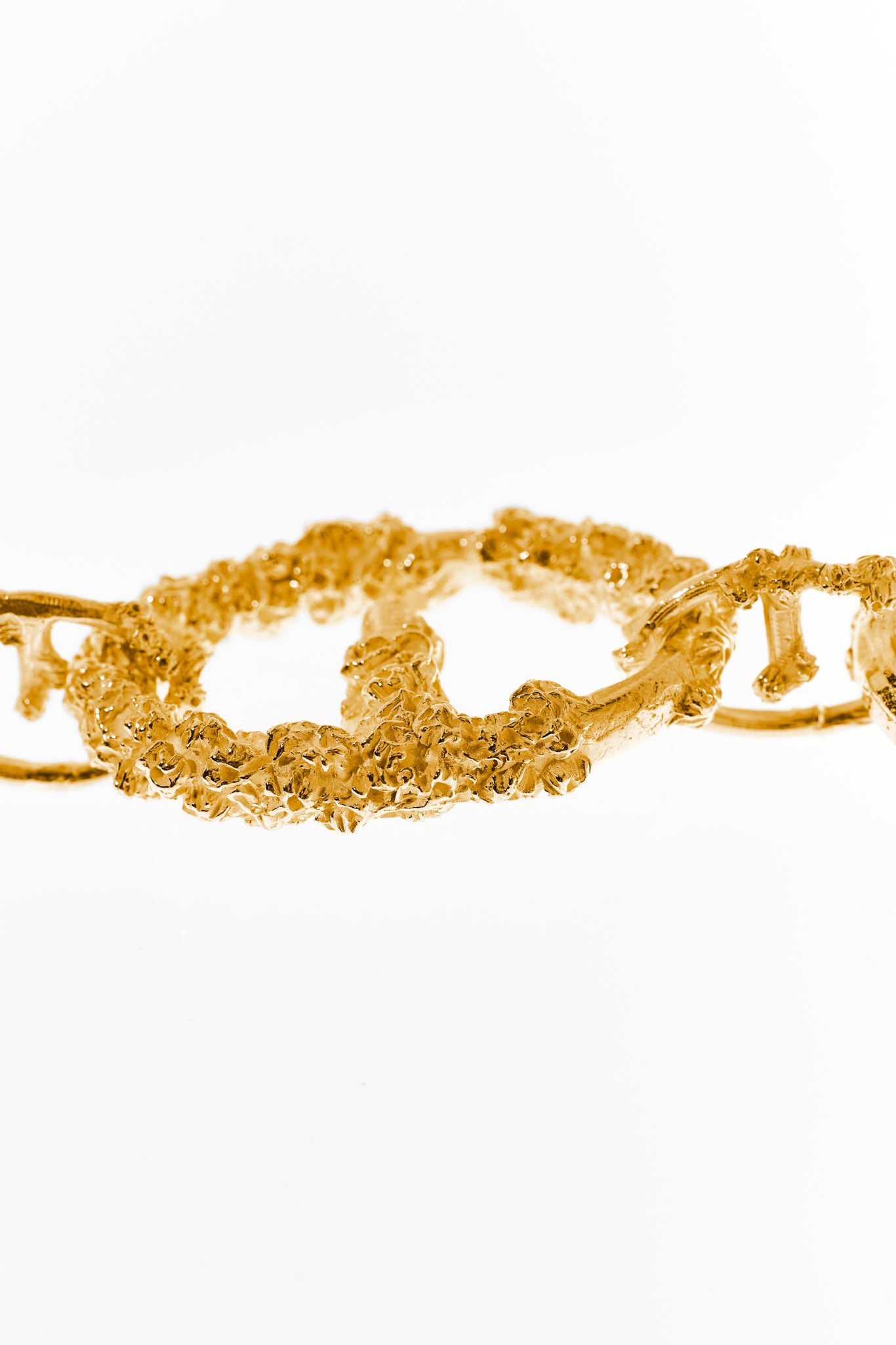 Cirripedia Anchor Chain