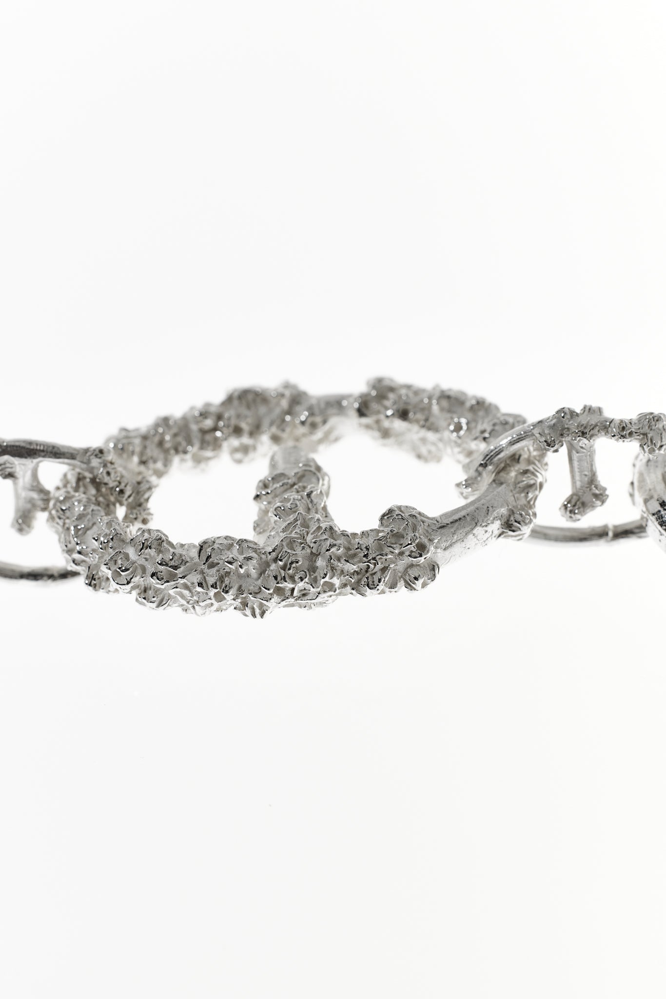 Cirripedia Anchor Chain