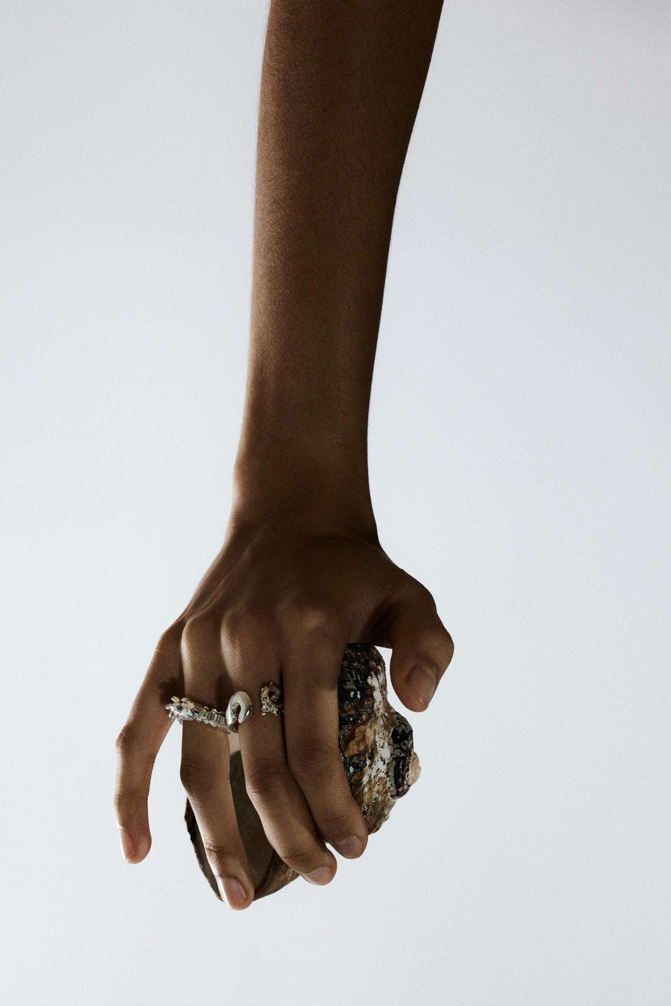 Hippocampus Ring