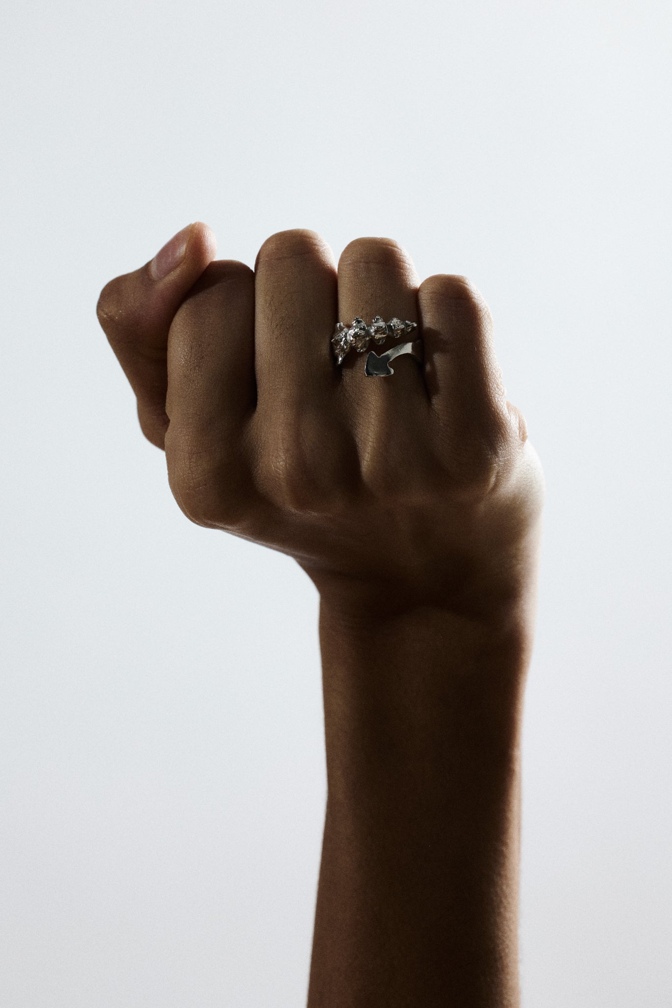 Vertebral Harpoon Ring
