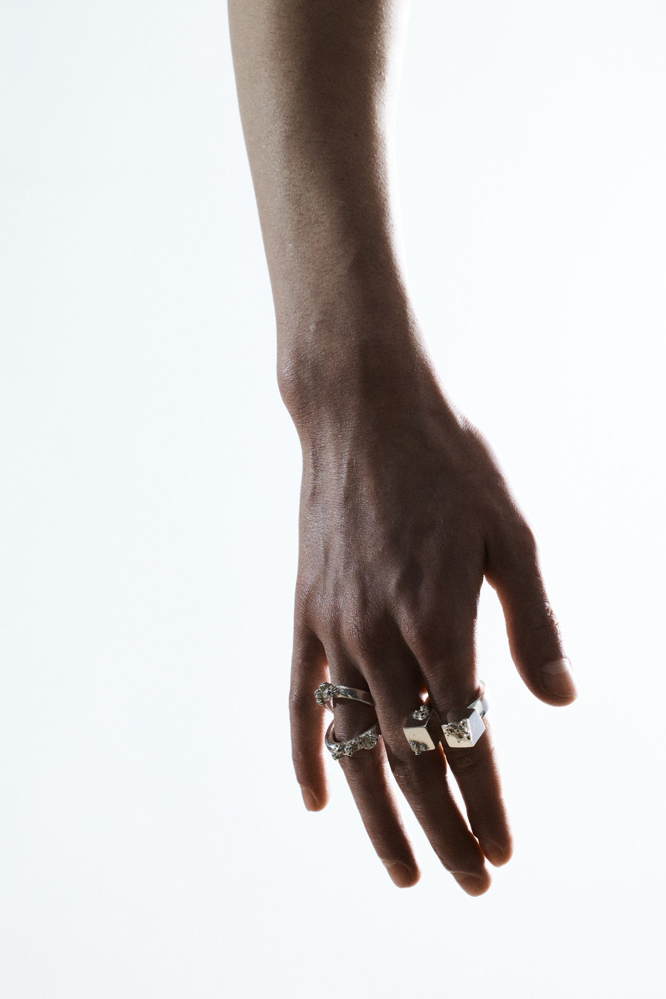 Cirripedia Anker Ring
