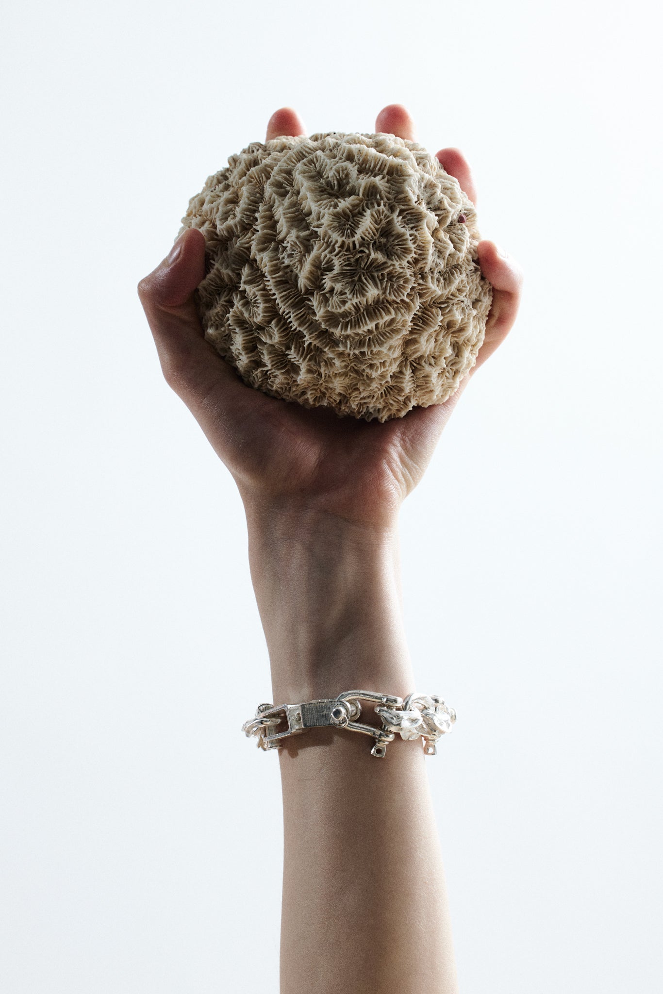 Mutated Mollusca Bracelet