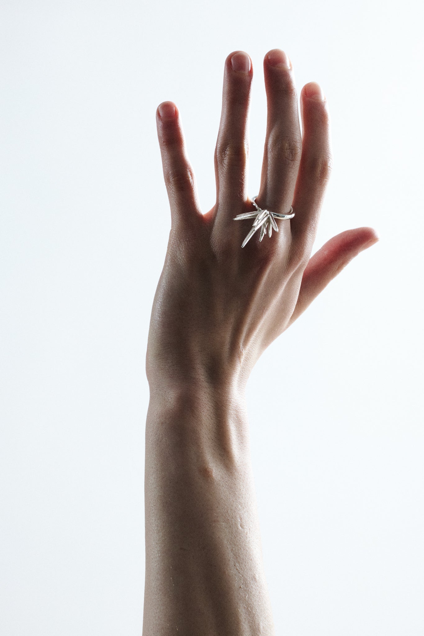 Mutated Echinoidea Ring