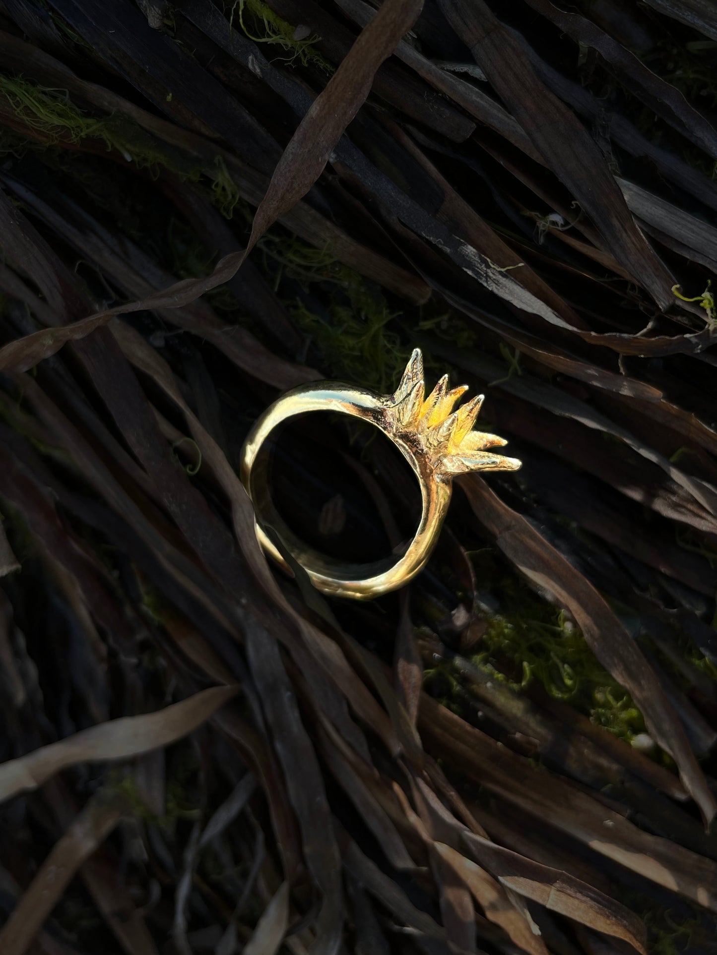 Anthozoan Ring